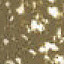 Пастель мягкая проф. квад. № 067 оливковый желтоватый зеленый